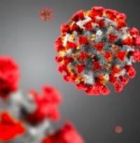 Aggiornamento coronavirus: 160 positivi, 12 decessi, 145 guariti
