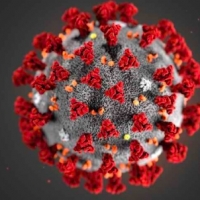Aggiornamento coronavirus: 200 positivi, 5 decessi
