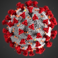 Aggiornamento coronavirus: 61 positivi, un decesso, +1 in terapia intensiva