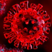 Aggiornamento coronavirus: 1.326 positivi, 4 decessi