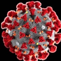 Aggiornamento coronavirus: 5 positivi, nessun decesso