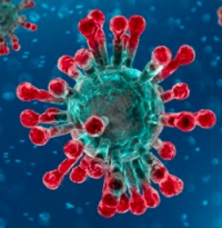 Aggiornamento coronavirus: 168 positivi, 25 decessi, 180 guariti