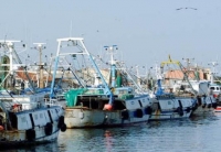 Fondo pesca, la Regione spinge per i pagamenti