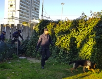 Sicurezza, stazione e San Giuliano al setaccio con 21 agenti e quattro cani