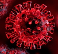 Aggiornamento coronavirus: un nuovo caso, asintomatico