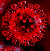 Aggiornamento coronavirus: +212 positivi, + 3 in terapia intensiva, + 30 guariti