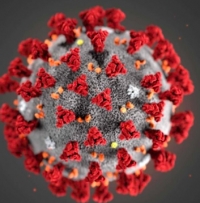 Aggiornamento coronavirus: 2 decessi e 5 contagi