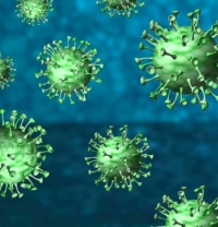 Aggiornamento coronavirus: +207 positivi, + 39 guariti