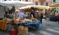 Riccione, torna il mercato del venerdì: paga il sindaco (ma solo questa settimana)