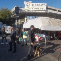 Sicurezza, cani antidroga al mercato coperto