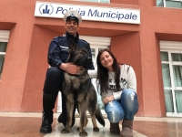 A Riccione è arrivato Zico, il vigile cucciolo