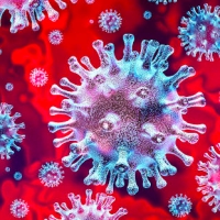 Aggiornamento coronavirus: muoiono 9 malati di covid; 1.725 nuovi positivi