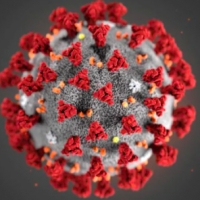 Aggiornamento coronavirus: un nuovo contagio, pero decessi