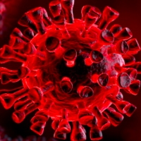 Aggiornamento coronavirus: 3 decessi, un nuovo contagio