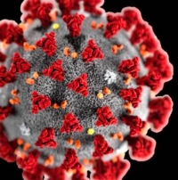 Aggiornamento coronavirus: + 100 positivi, un nuovo ingresso in terapia intensiva