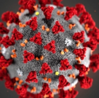 Coronavirus, aggiornamento regionale: 225 nuovi casi positivi, aumento inferiore all&#039;1%