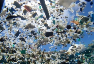 Ambiente, Arlotti firma per liberare il mare dalla plastica
