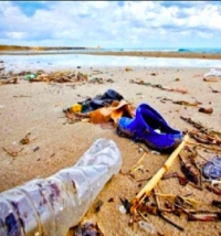 Spiaggia ‘plastic free’ l’ordinanza del comune di Rimini