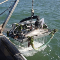 Pesca, deroga europea per le vongole
