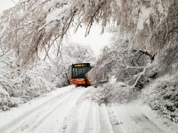 Rimini sotto la neve, mezzi Anthea e Coldiretti in azione. Criticità a Covignano