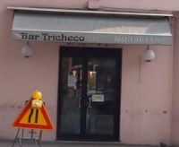Bar Tricheco, Comitato ponte Tiberio: Gnassi contraddittorio