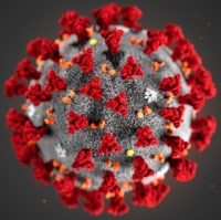 Coronavirus: come cambia la nostro vita? Online il sondaggio di Federconsumatori