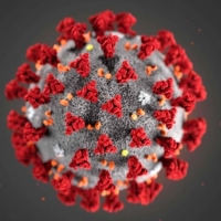Aggiornamento coronavirus: nessun contagio, un decesso