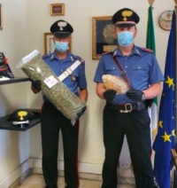 Marijuana dall’Albania, sette indagati sotto custodia