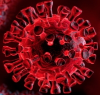 Aggiornamento coronavirus: +74 positivi a Rimini, sei in totale i ricoverati in terapia intensiva