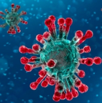 Aggiornamento coronavirus, si sfiorano i 6mila positivi. A Rimini 66 nuovi casi