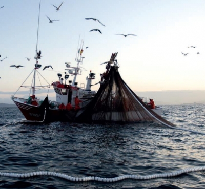 Sanzioni pesca, pressing di Arlotti sul governo