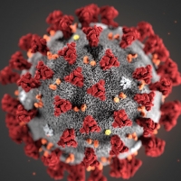 Aggiornamento coronavirus: 20 nuovi casi in regione su 8mila tamponi. Nove casi nel riminese