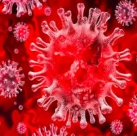 Aggiornamento coronavirus, domenica tranquilla: un contagiato e nessun decesso