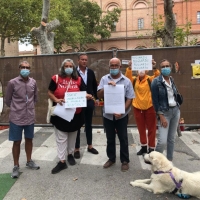 Taglio platani malati in piazza Malatesta, la protesta di Italia nostra
