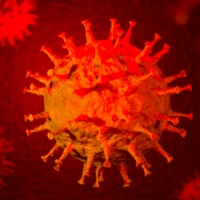Aggiornamento coronavirus: 241 positivi, nessun decesso, +3 in terapia intensiva
