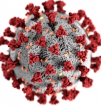 Aggiornamento coronavirus: zero nuovi positivi, un decesso