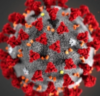 Aggiornamento coronavirus: 239 contagiati in più rispetto a ieri, ma scendono di 162 i positivi attivi