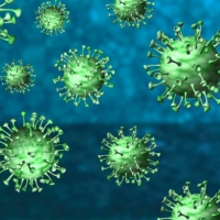 Aggiornamento coronavirus: 39 positivi, 1 guarito