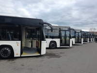 Nuovi bus per Start Romagna: aumentano i posti a sedere