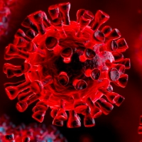 Aggiornamento coronavirus: 4 contagi, 0 decessi