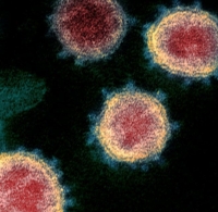 Aggiornamento coronavirus: +6 nel riminese