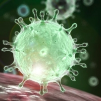 Coronavirus, aggiornamento regionale: nessun nuovo decesso segnalato a Rimini