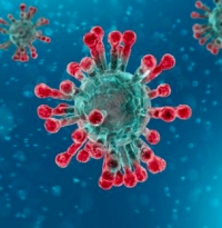 Coronavirus, 11 positivi in più nel riminese