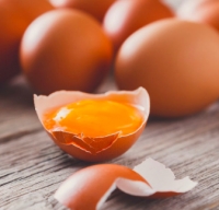 Mense: niente uova crude nelle pietanze, online l&#039;ordinanza