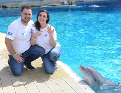 Oltremare, proposta di matrimonio: delfini per testimoni