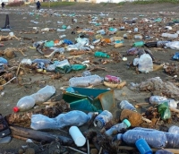 Cattolica, domenica ripulitura della spiaggia dalla plastica