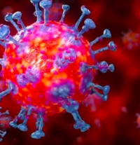 Coronavirus, oltre 14mila casi in regione. A Rimini presto tamponi in auto