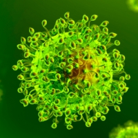 Aggiornamento coronavirus: 66 positivi, +1 in terapia intensiva