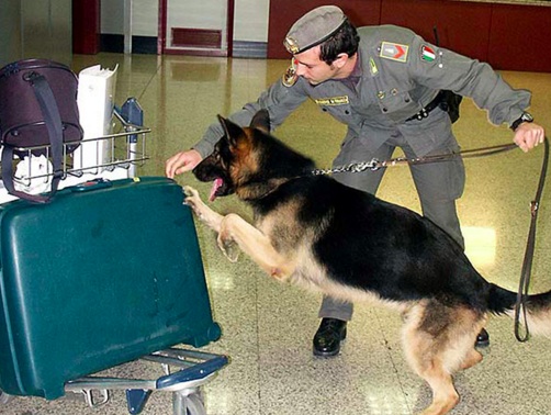 gdf controlli aeroporto
