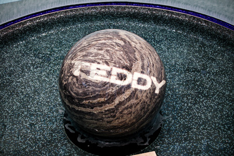 logo-Teddy